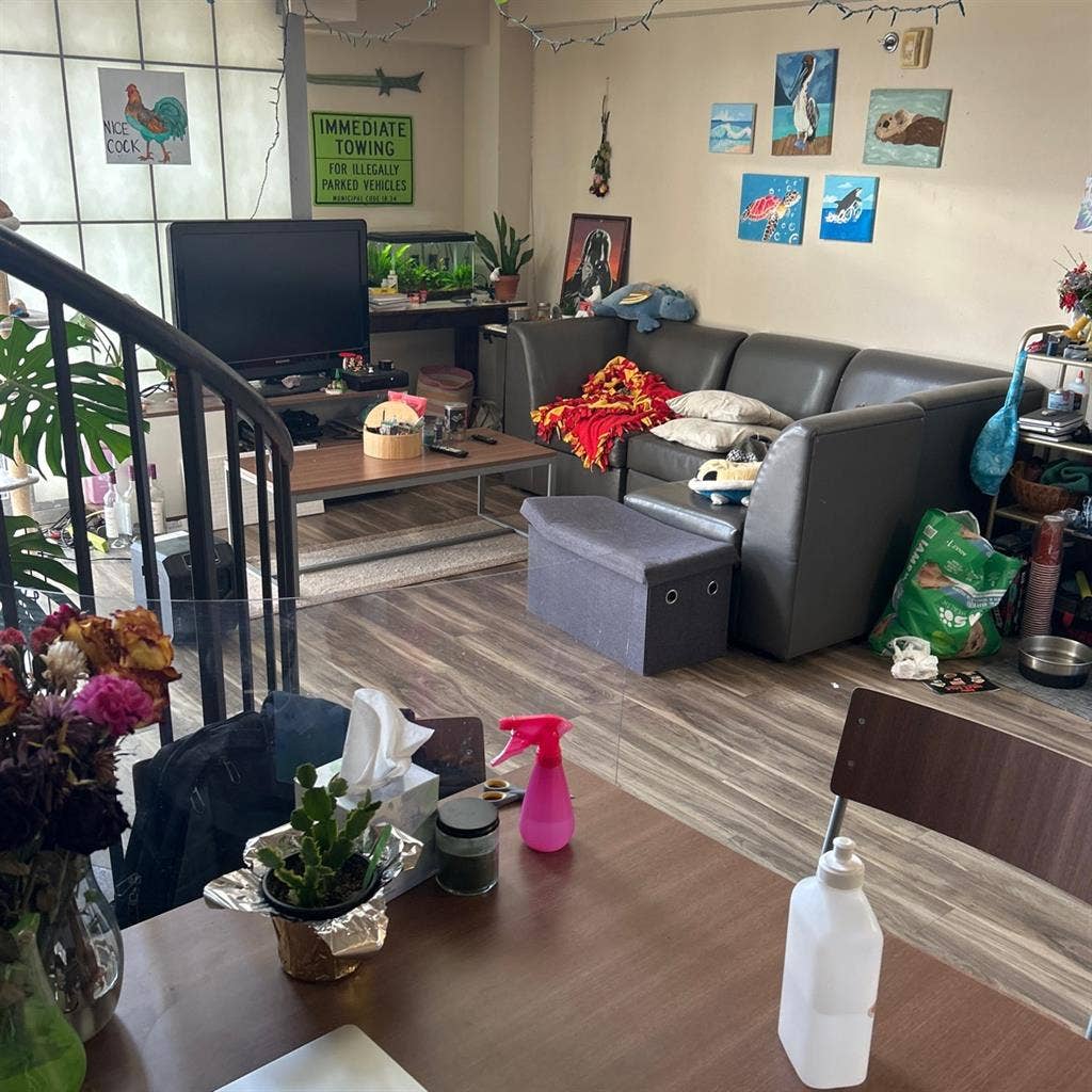 Looking for someone to sublease