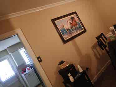 1 BR OWN BATHROOM!!!!!!!