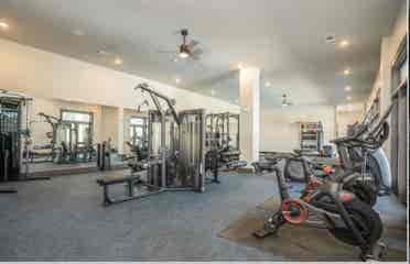 Looking for a roommate!