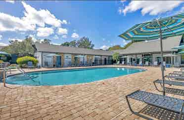 Looking for a roommate!