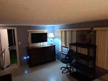 Room for rent