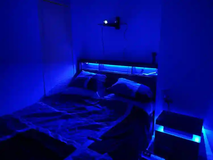 2 Rooms and 1 efficiency for rent