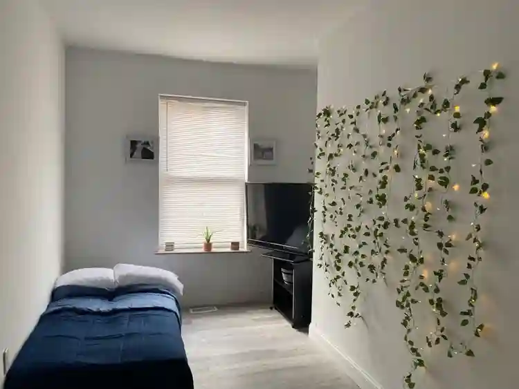 2 Rooms and 1 efficiency for rent