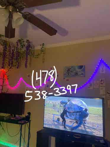 Roommate needed asap