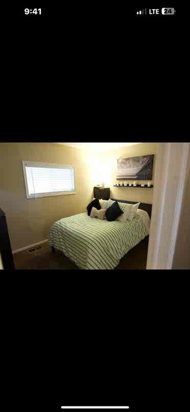 Looking for a reliable roommate