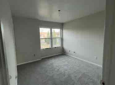 Room W/ all utilities included!