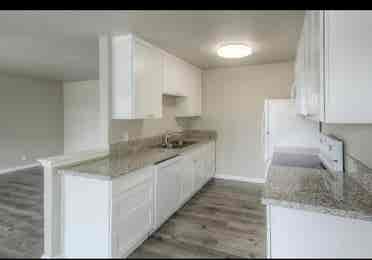Newly renovated Apartment