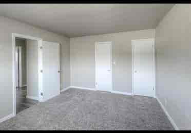 Newly renovated Apartment