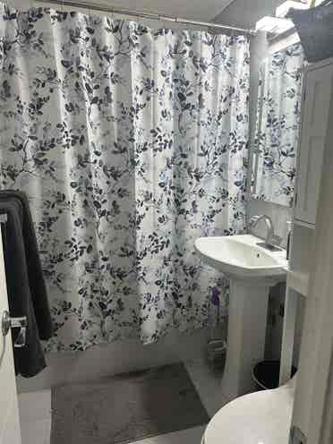 Looking for a roommate!