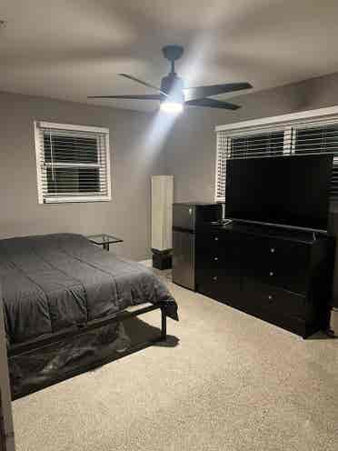 Looking for a roommate!