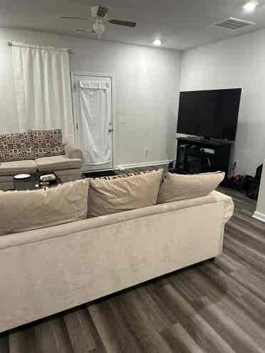 Looking for a roommate