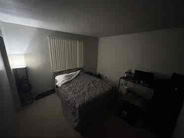Looking For Roommate Starting April