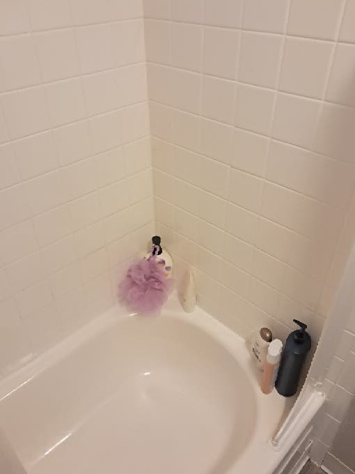 Very Clean & Respectful Household