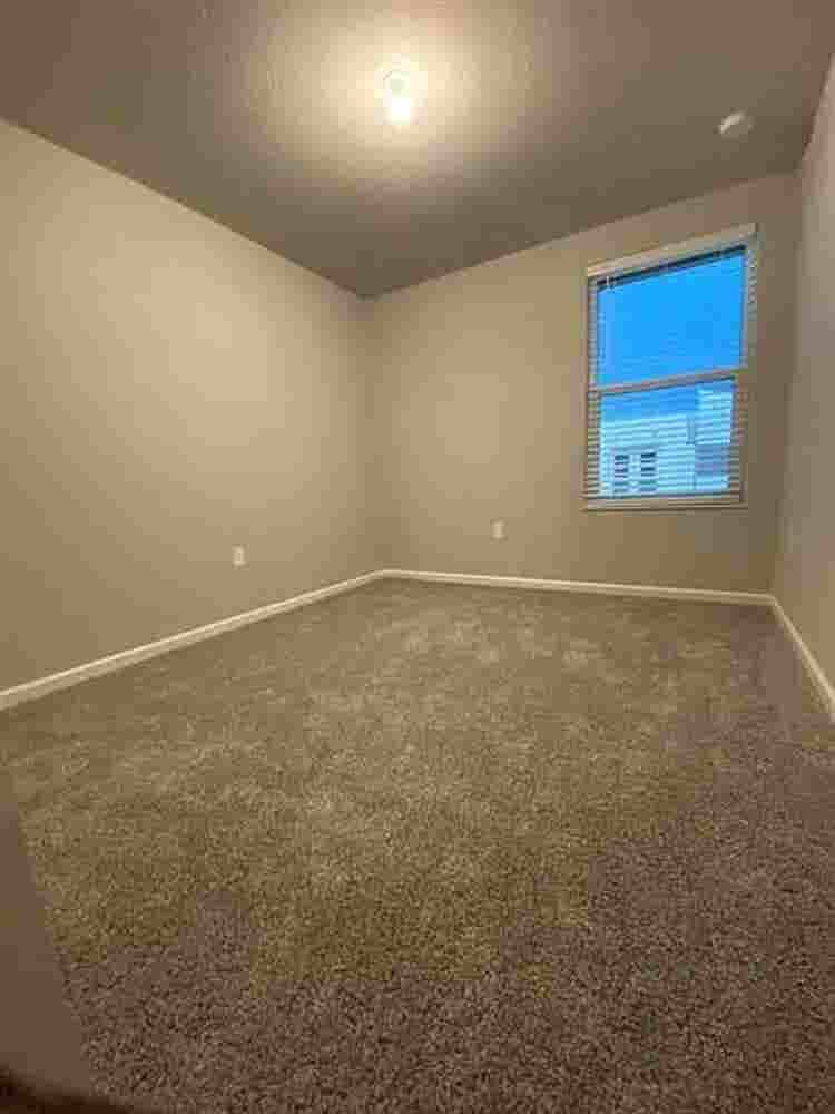 Looking for a Roommate