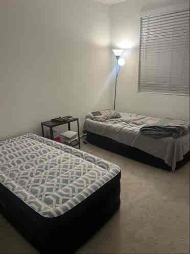 Share room