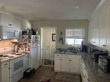 Female Roommate for May