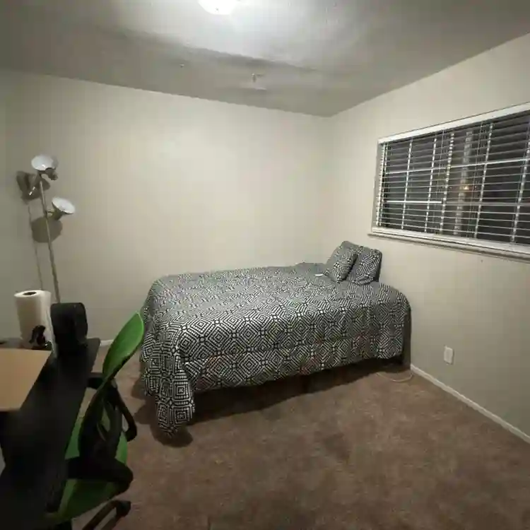 Large furnished room available now!