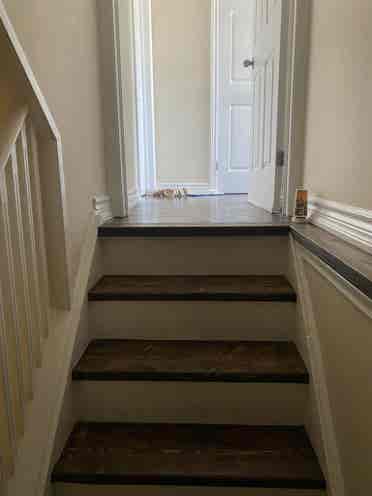 Basement for rent