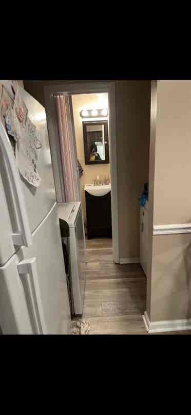 looking for a female roommate