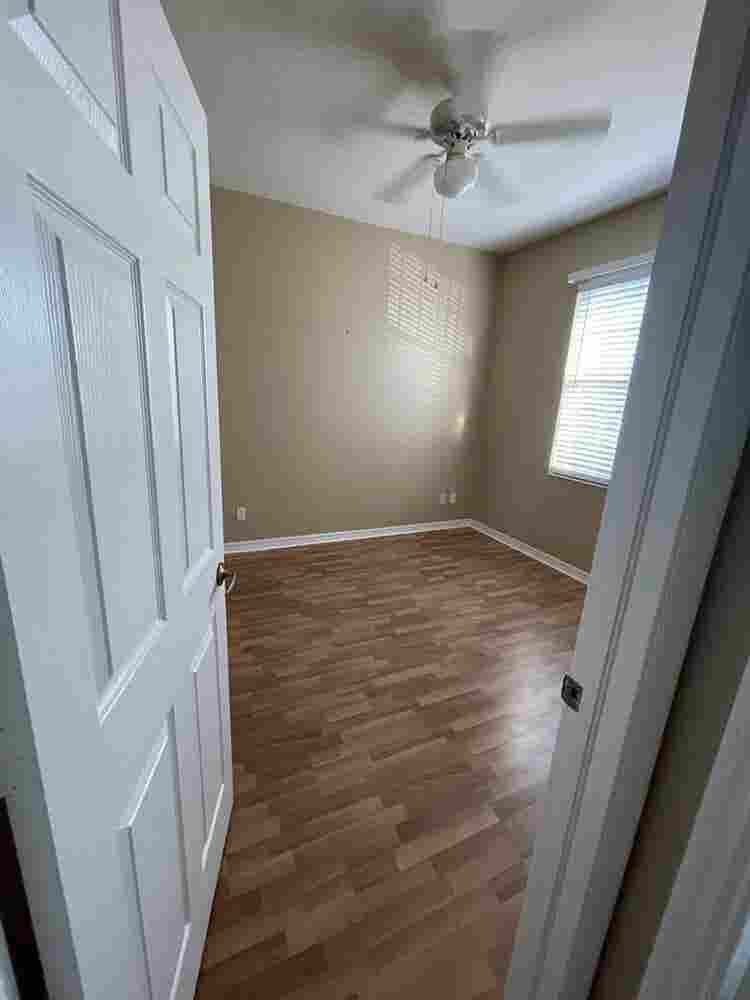 Looking for a roommate