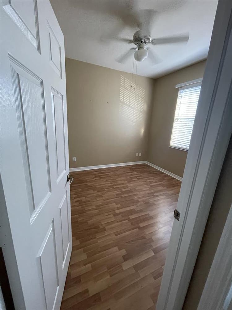 Looking for a roommate