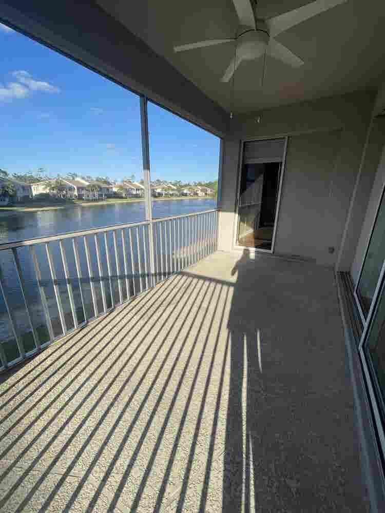 Looking for a roommate