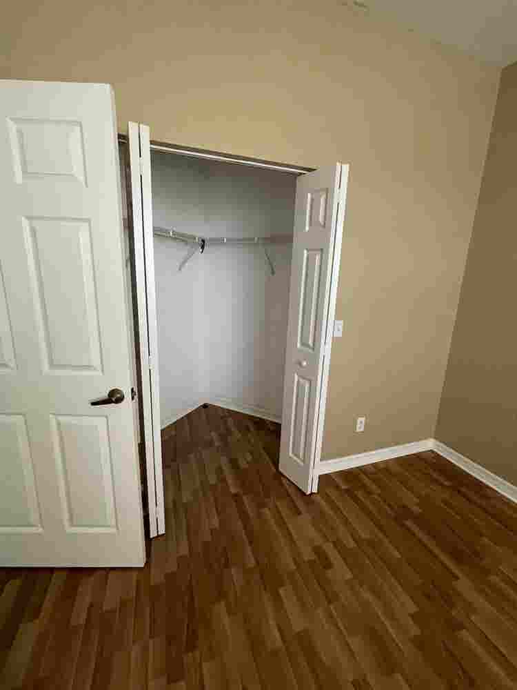 Looking for a roommate