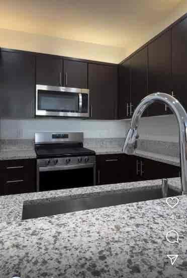 Amazing apartment need roomie asap