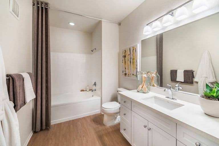 Looking for a female roommate
