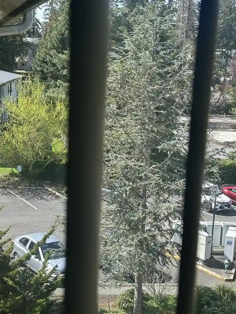 BigRoom.incl.utilities/Wifi