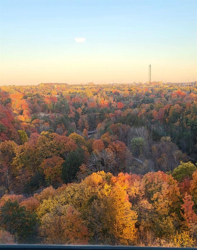 FURNISHED RM IN SHARED 2BDRM CONDO