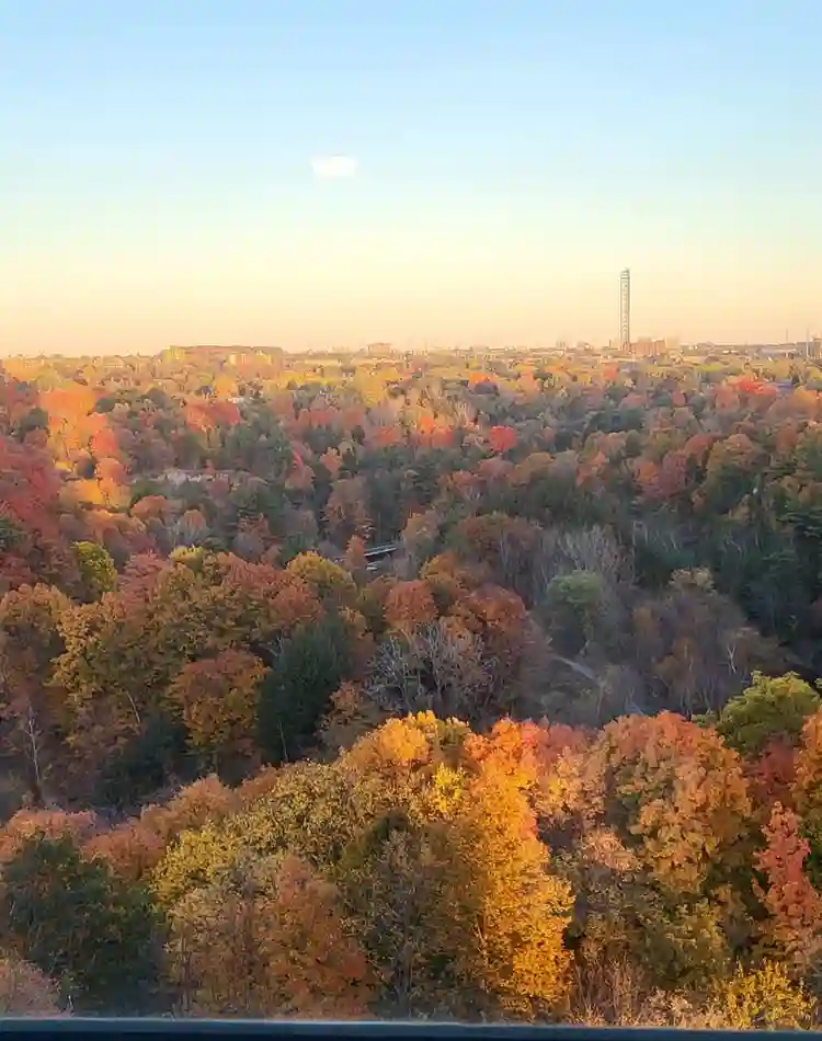 FURNISHED RM IN SHARED 2BDRM CONDO