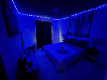 Furnished room in an awesome home!