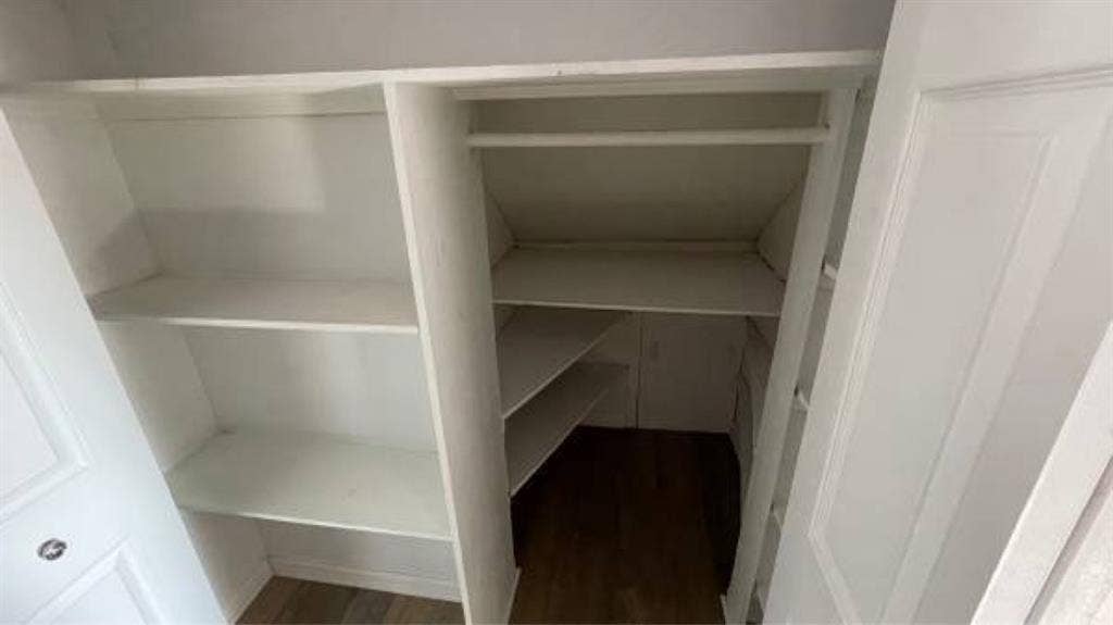 New Roomie Wanted