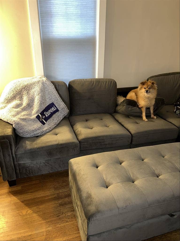 Room for rent