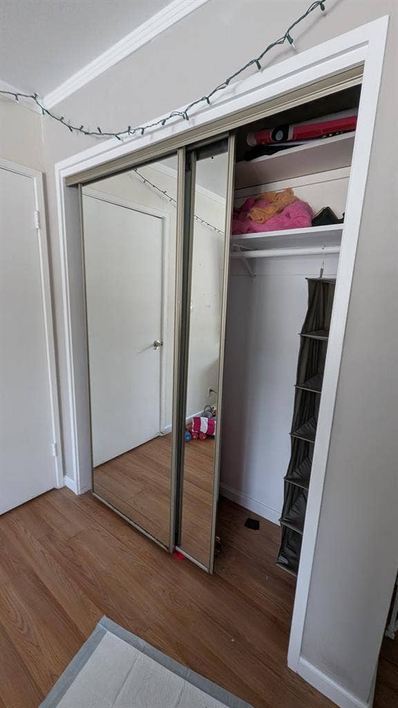Large bedroom in Mill Valley