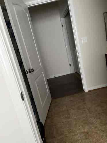 Looking for a roommate
