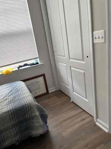 Looking for a roommate