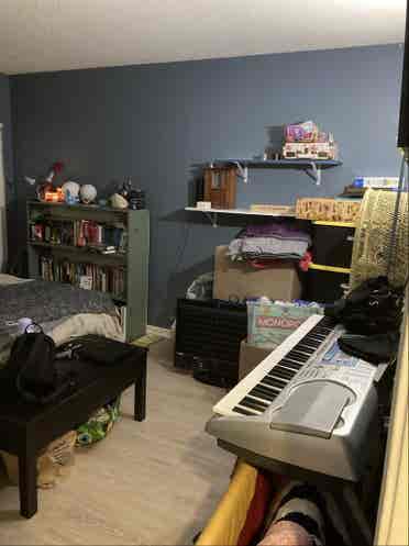 Room for Rent in Bellevue
