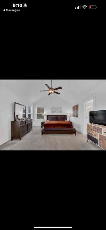 Looking for a roommate!