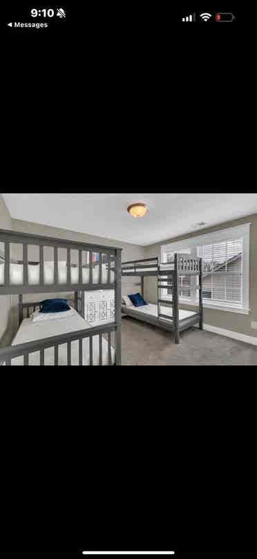 Looking for a roommate!