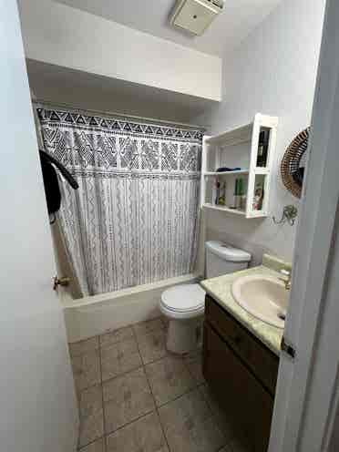 Looking for roomies