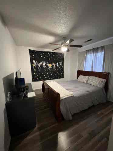 Looking for roomies