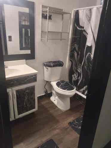 Move in ready furnished master room