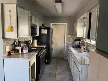 Looking for a cool Roomate