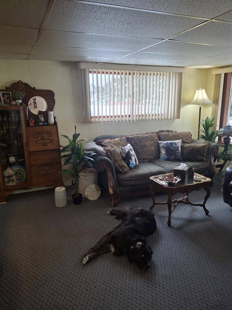 Room for Rent with Shared Bathroom