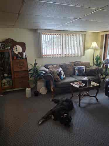 Room for Rent with Shared Bathroom