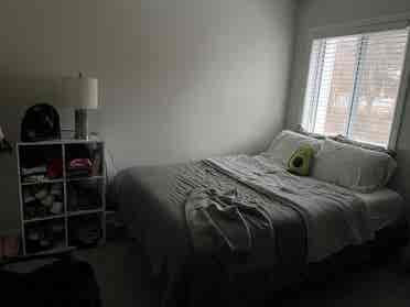 Female roommate wanted