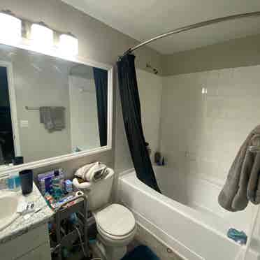 Looking for a Roommate! End June.