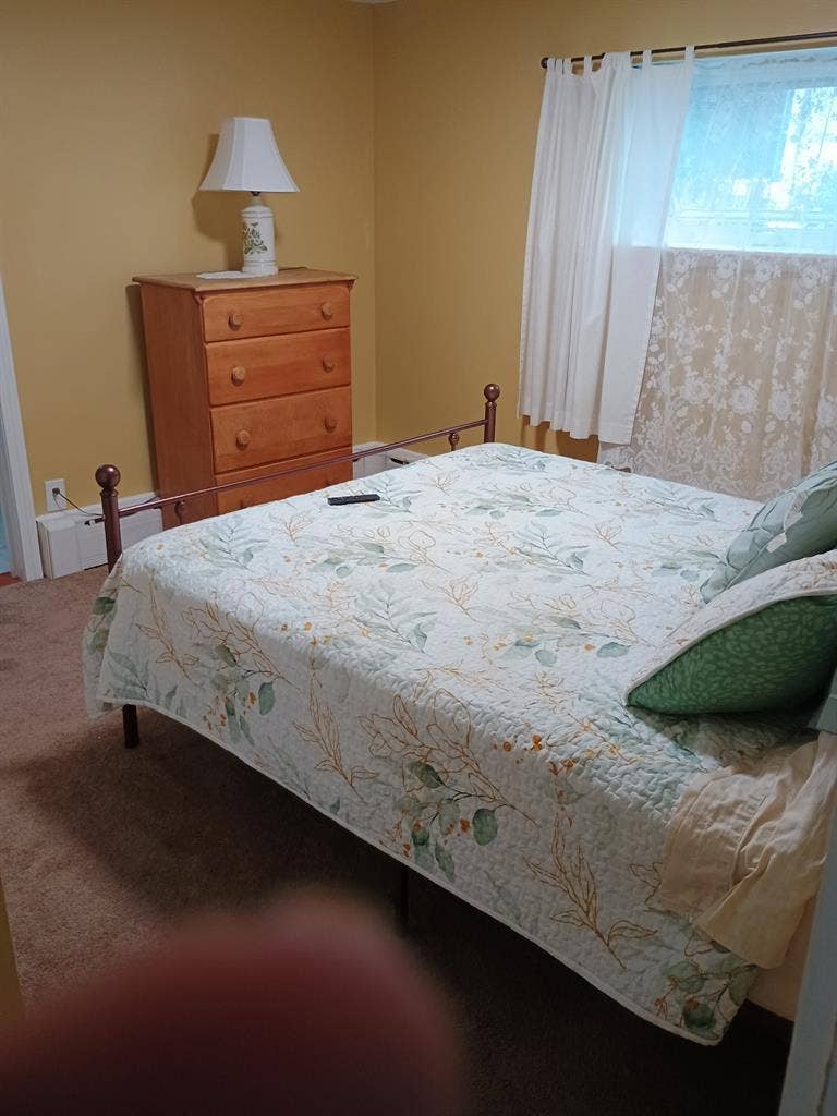 Looking for a roomate